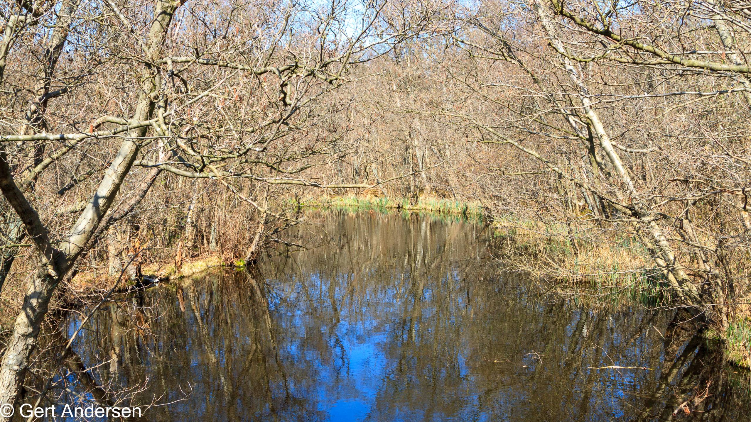 Lyngby Sø (24 of 37) compressed